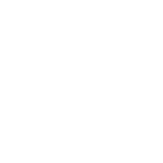 absolute Store